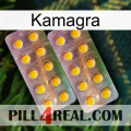 Kamagra new10